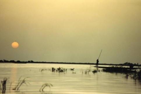 African Boatman323