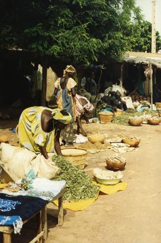 African Food Market480