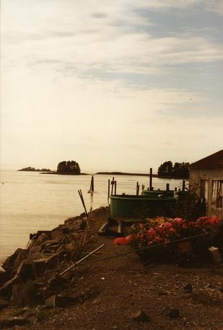 Alaska Houses on the shore 02480