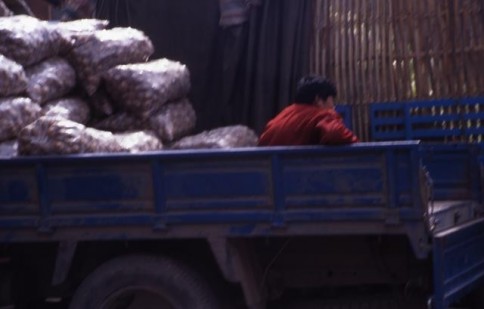 Chinese Man in Truck309