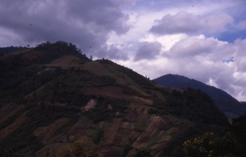 Guatemalan Farmland309