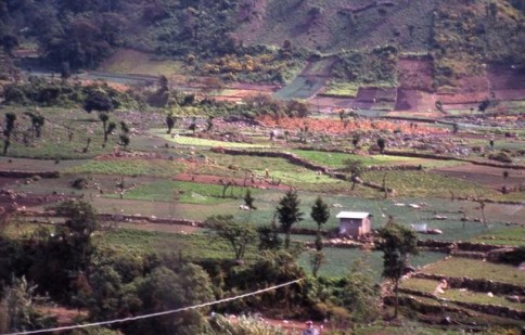 Guatemalan Farmland309