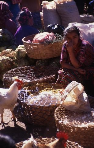 Guatemalan Poultry Market480