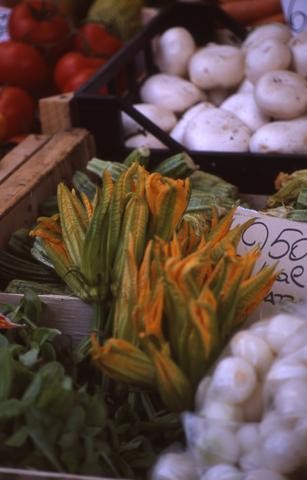 Italian Squash Blossoms480