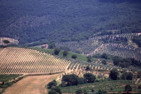 Italian Farmland 2322