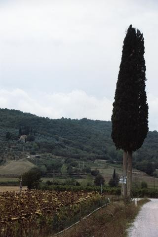 Italian Farmland 3480