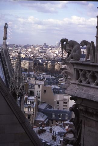 Paris w gargoyles_tif480